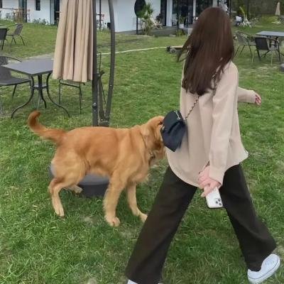 沉眠之虎
